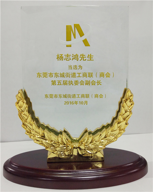 热烈祝贺百分百科技总经理杨志鸿先生当选东莞市东城街道工商联（商会）第五届执委会副会长.jpg