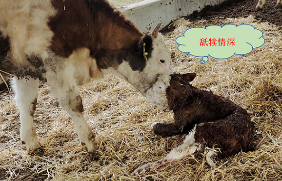 微信截图_20210316082601.png